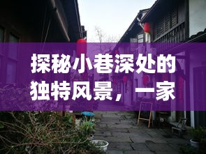 探秘小巷深处的独特风景，隐藏式特色小店与A7R3实时取景直方图背后的故事