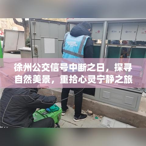 徐州公交信号中断之际，探寻自然美景，心灵宁静之旅