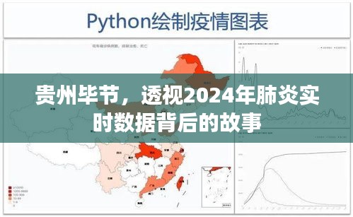 贵州毕节肺炎实时数据背后的故事，透视2024年疫情数据背后的深层影响