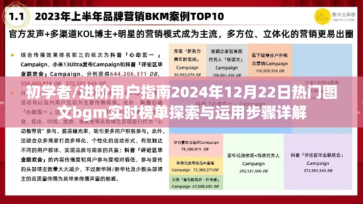 初学者与进阶用户指南，探索与运用图文bgm实时榜单的步骤详解（2024年12月22日）