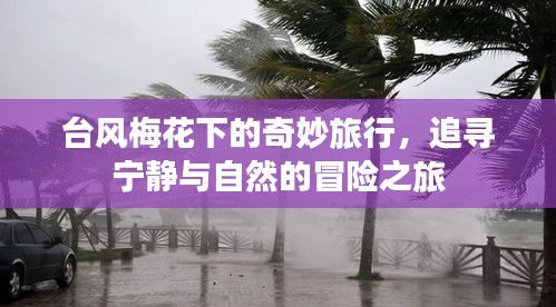 2024年12月24日 第13页