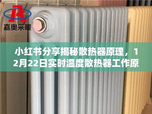 小红书分享，散热器原理详解与实时温度工作视频揭秘