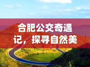 合肥公交奇遇记，探寻自然美景，寻找内心宁静之旅