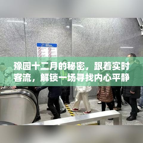 豫园十二月秘境，追寻内心平静的冬日探险之旅