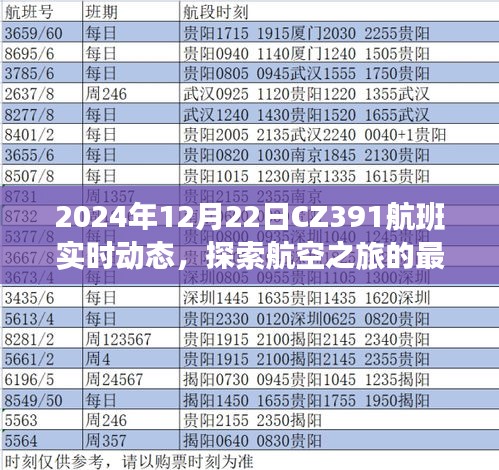 CZ391航班实时动态探索航空之旅的最新进展于2024年12月22日