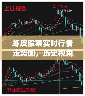 虾皮股票实时行情走势图深度解析与历史视角介绍