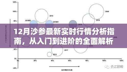 12月沙参行情深度解析，从入门到进阶的全面指南