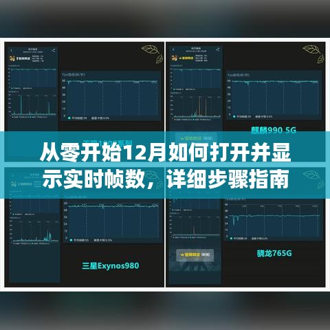 从零开始，12月如何开启实时帧数显示功能？详细步骤教程