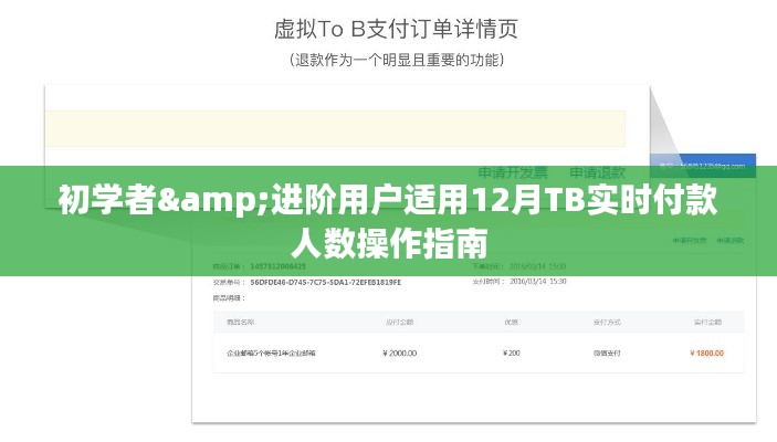 初学者与进阶用户适用的12月TB实时付款人数操作指南