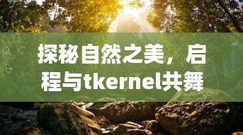 探秘自然之美，启程心灵之旅，与tkernel共舞，远离尘嚣的奇幻之旅