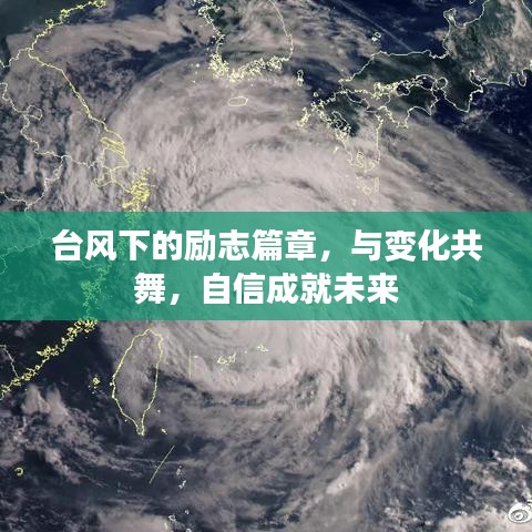 台风下的励志篇章，与变化共舞，自信成就美好未来