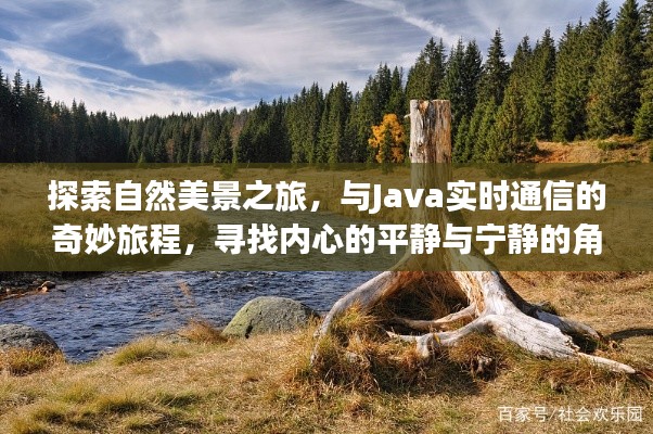 自然探索与Java通信的奇妙之旅，寻找心灵宁静之地