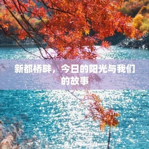 新都桥畔阳光下的故事