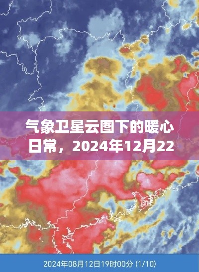 气象卫星云图下的暖心日常，2024年冬至奇幻之旅