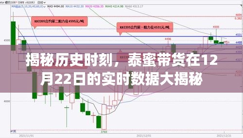 泰蜜带货12月22日实时数据大揭秘，历史时刻的全面剖析