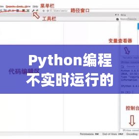 Python编程的非实时运行策略解析与探讨