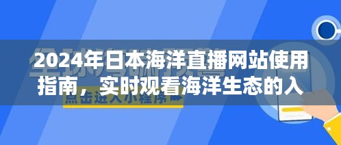 2024年日本海洋直播网站使用指南，实时观看海洋生态的入门与进阶全攻略