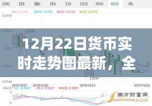 12月22日货币实时走势图全面解读，产品特性与使用体验最新解析