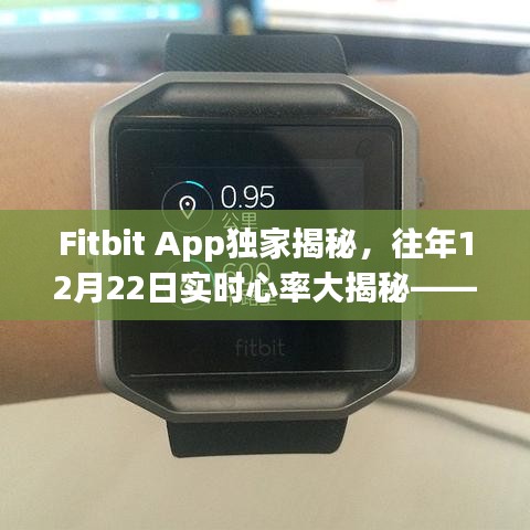 Fitbit App独家揭秘，往年心率数据大解密，守护你的健康之路