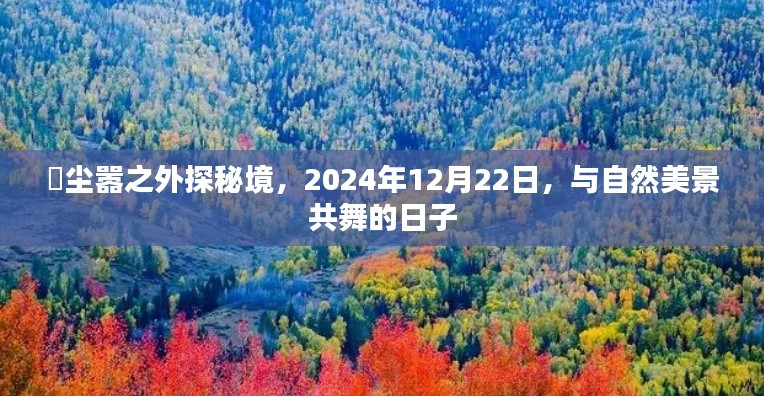 尘嚣之外秘境探秘，与自然美景共舞的日子（2024年12月22日）