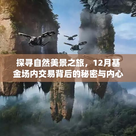 揭秘自然美景探寻之旅与基金场内交易的秘密，探寻内心宁静之道