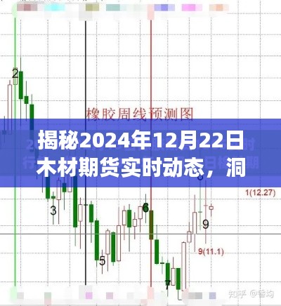 揭秘，木材期货市场趋势与应对策略——聚焦2024年12月22日实时动态分析