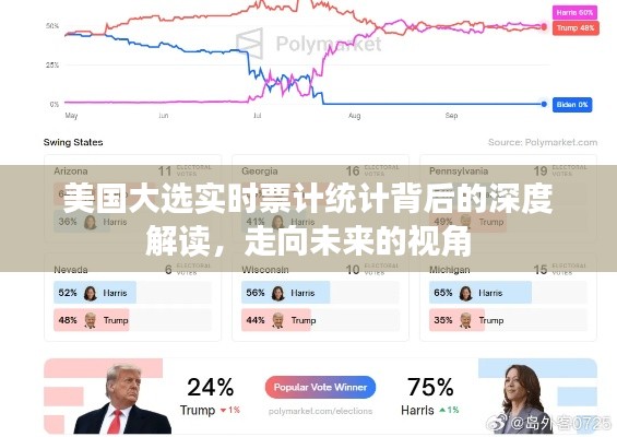 美国大选实时票计统计深度解析，展望未来视角的洞察