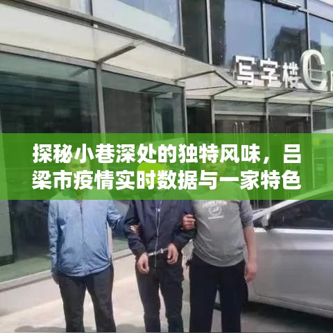 吕梁小巷独特风味探秘，疫情数据与特色小店的奇遇