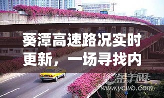 葵潭高速路况实时更新，绿色之旅的心灵安宁之旅