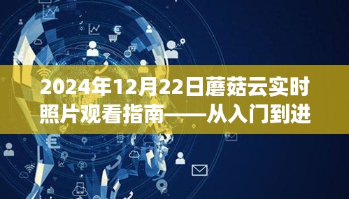 2024年蘑菇云实时照片观看指南，从新手入门到进阶实操