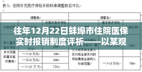 往年12月22日蚌埠市住院医保实时报销制度深度评析，某观点视角