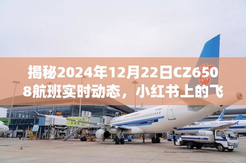 小红书独家揭秘，CZ6508航班2024年12月22日实时飞行日志全记录