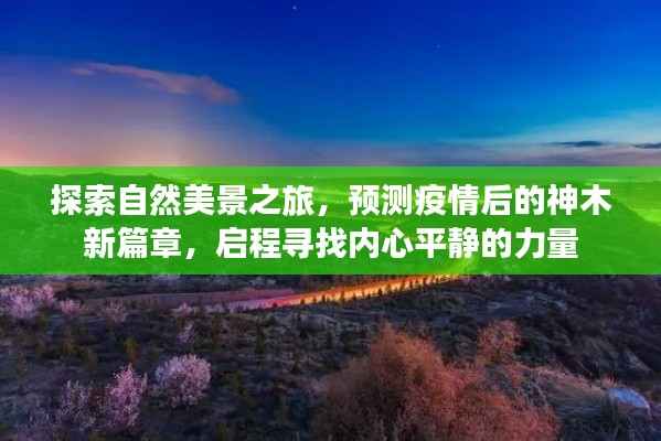 疫情后的神木新篇章，自然探索之旅与内心平静的启程