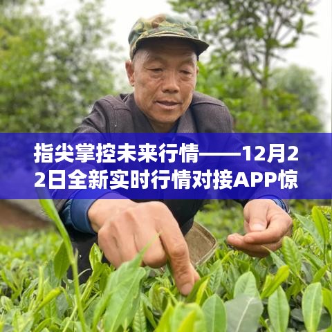 指尖掌控未来行情，全新实时行情对接APP 12月22日惊艳上线！