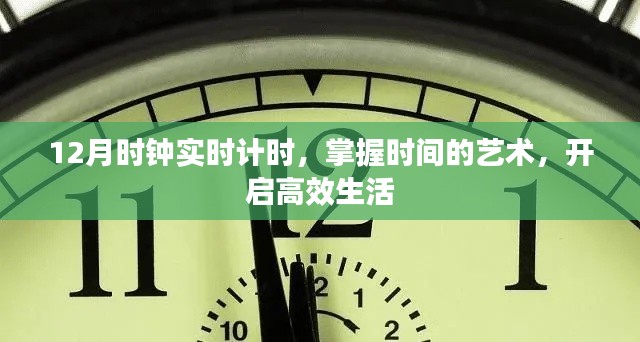 掌握时间的艺术，高效生活的实时计时器开启