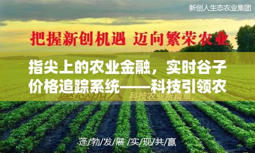 指尖农业金融与实时谷子价格追踪，科技引领农业新时代的革新之路