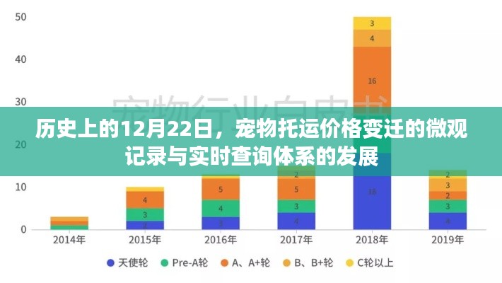 宠物托运价格变迁实录，微观记录与实时查询体系的发展回顾