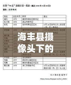 海丰县摄像头下的观察日记，2024年12月22日的记录与洞察