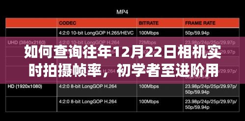 查询往年12月22日相机实时拍摄帧率，初学者至进阶用户指南详解