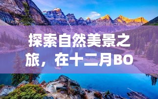 十二月BOA Web实时日志，探寻自然美景，寻觅内心宁静与平和的旅程