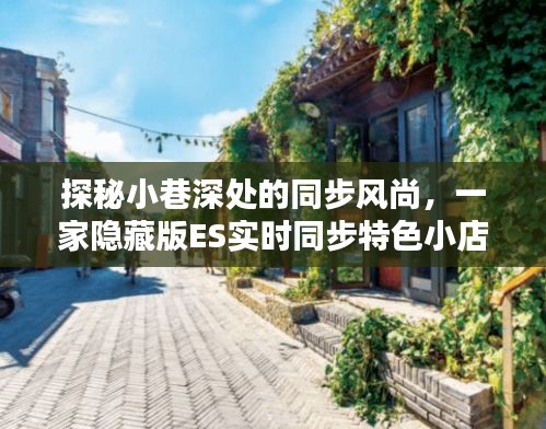 探秘小巷深处的隐藏版ES实时同步特色小店，同步风尚的魅力之旅