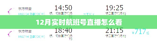 12月实时航班号观看直播攻略