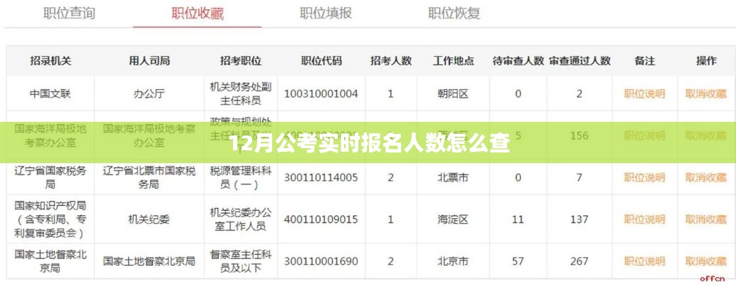 公考实时报名人数查询指南