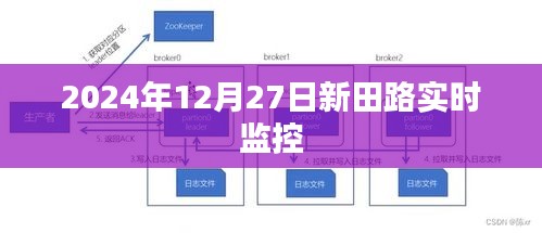 新田路实时交通监控录像，时间，2024年12月27日