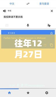 谷歌实时翻译在特定日期的使用问题解析