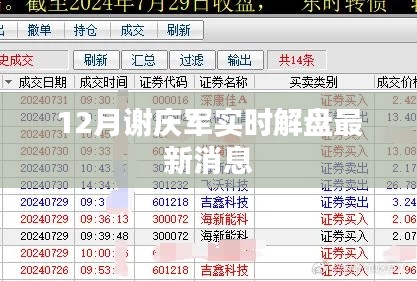 谢庆军12月股市解盘最新动态