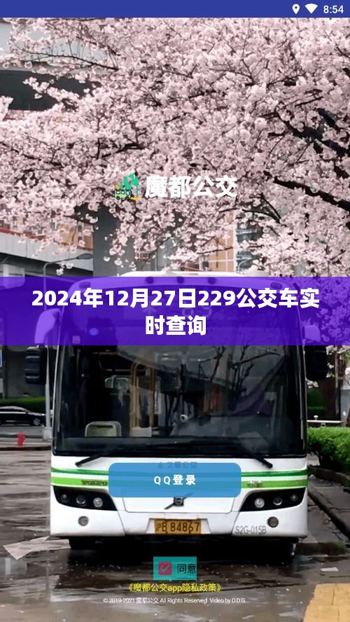 2024年12月27日公交查询，229路实时动态