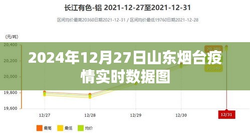 山东烟台疫情实时数据图（最新更新至2024年12月）