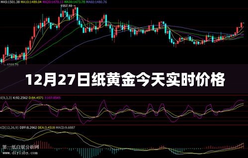 纸黄金今日实时价格行情分析（最新报价）