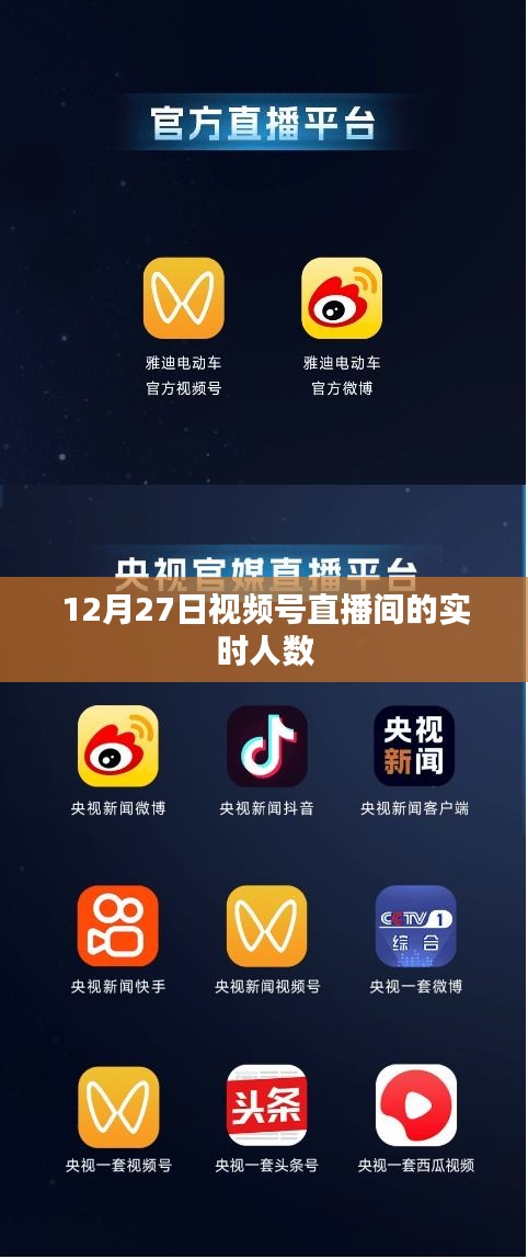 12月27日视频号直播实时人气火爆